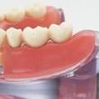 Model de studiu PE-IMP002 Nissin