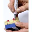 Creion izolator Iso Stift Renfert