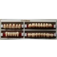 GOLDENT-garnitura de dinti x28buc-B2 marimea nr3