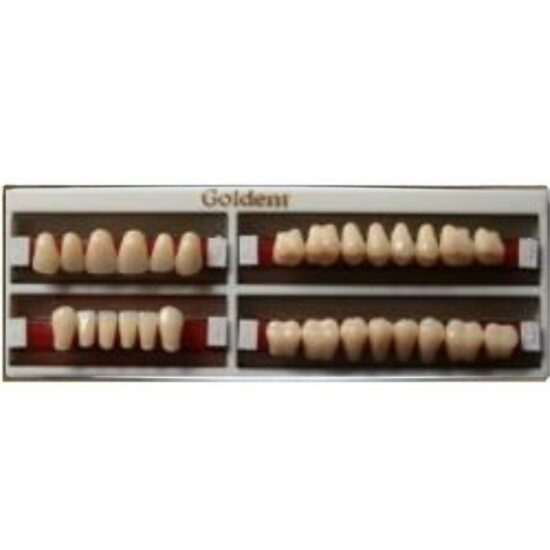 GOLDENT-garnitura de dinti x28buc-B2 marimea nr3