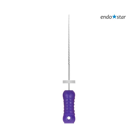 Ace K-Files 10-31 mm x 6 buc Endostar