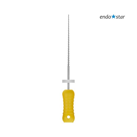 Ace  K-Files 20-31mm x 6 buc Endostar