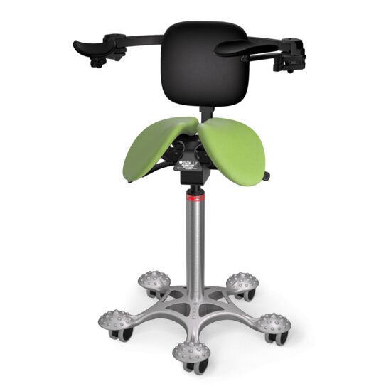 Scaun Salli MultiAdjuster with Ergorest + back support leather Lime green