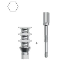 hex connection Short Transfer Set (șurub inclus) B&B Dental