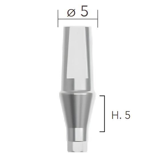 Straight abutments ø5 (bont titan, drept) B&B Dental