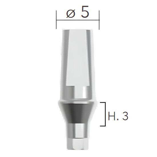 Straight abutments ø5 (bont titan, drept) B&B Dental