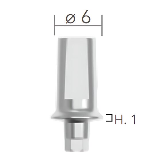 Straight abutments ø6 (bont titan, drept) B&B Dental