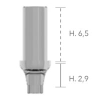 Castable Abutments ø4, H2 - șurub inclus B&B Dental