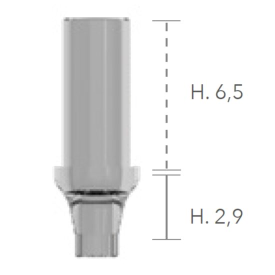 Castable Abutments ø4, H2 - șurub inclus B&B Dental