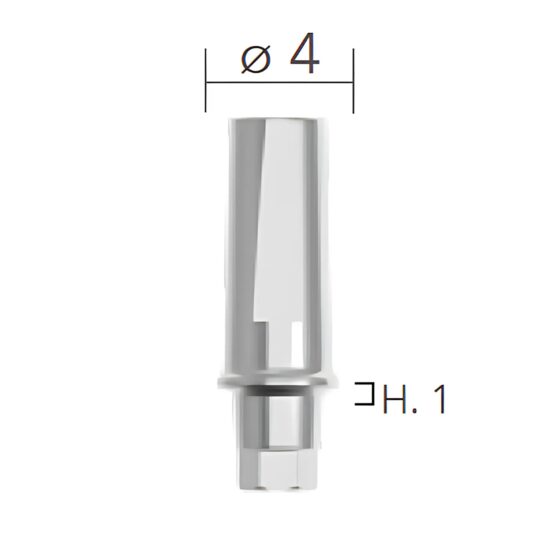 Straight abutments ø4 (bont titan, drept) B&B Dental