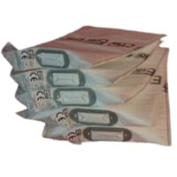 Sac aspirator SOLE- dimensiuni 40x33,6 cm, set 5 buc ERIO