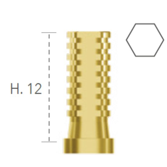 MUA Temporary Non-Rotating Abutment B&B Dental