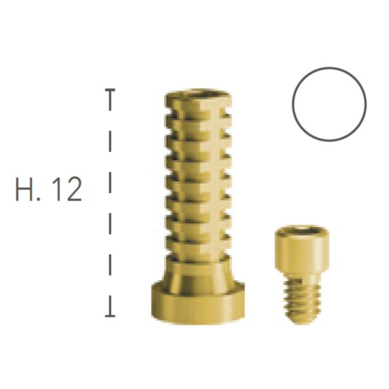 MUA Temporary Rotating Abutment B&B Dental