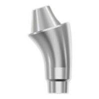 Rotating Angled Multi-Use Abutment-17°x H1 B&B Dental