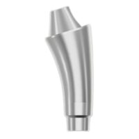 Rotating Angled Multi-Use Abutment-17° B&B Dental 