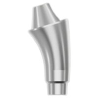 Rotating Angled Multi-Use Abutment-17°x H1 B&B Dental