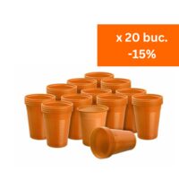 Pahare de unica folosinta Orange x 100 buc Akzenta