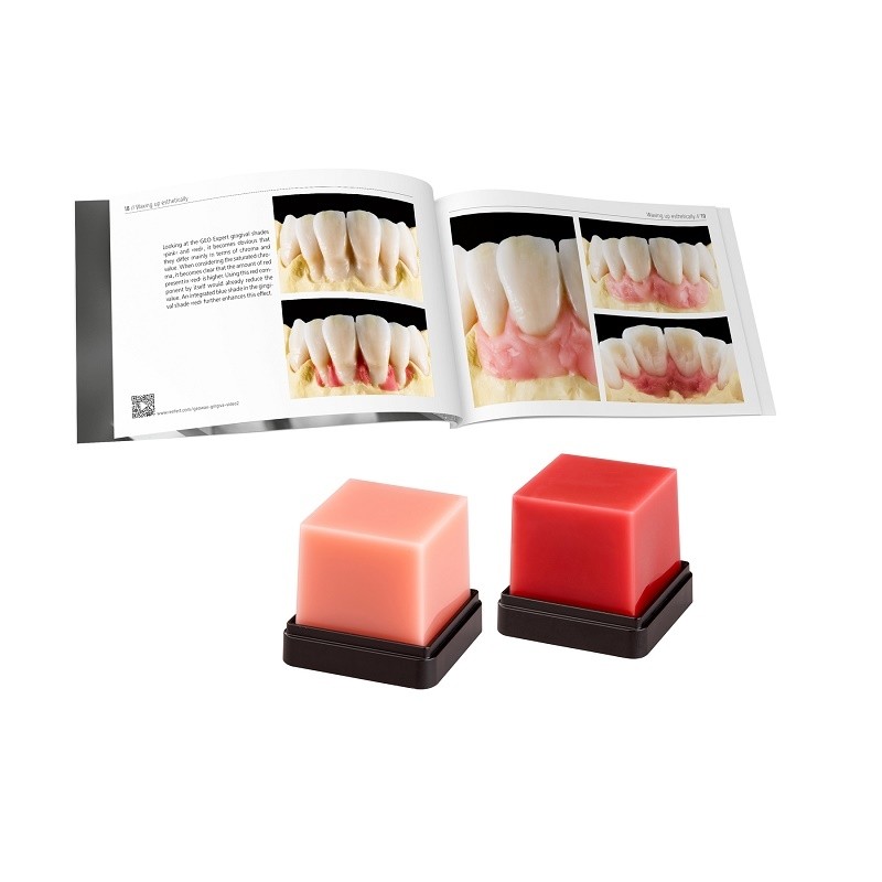 Geo Expert Gingiva Set A. Bruguera Renfert