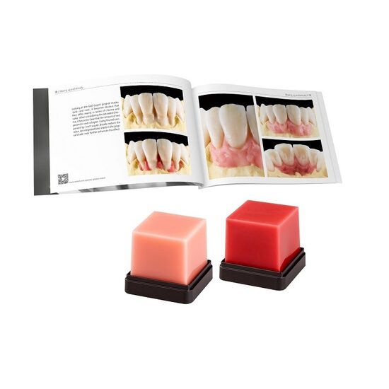 Geo Expert Gingiva Set A. Bruguera Renfert