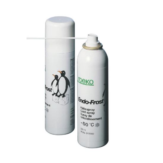 Spray testare vitalitate Endo Frost Roeko