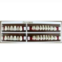 Garnitura de dinti A2 Goldent 