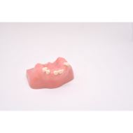 Model de studiu IMP1007 Nissin