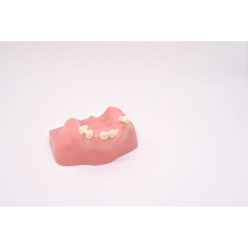 Model de studiu IMP1007 Nissin