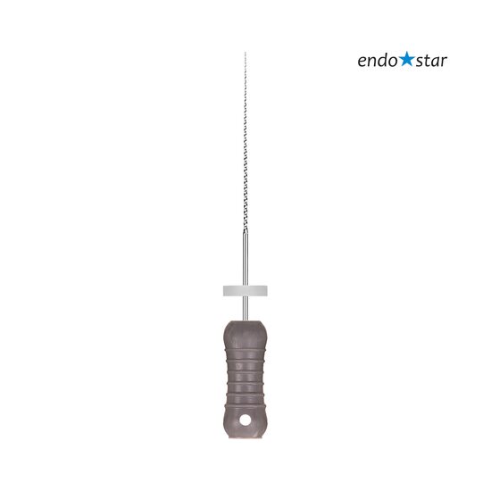 Ace K-Files 08-25 mm x 6 buc Endostar