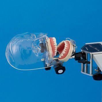 Manechin simulator Simple Manikin III Kit Nissin