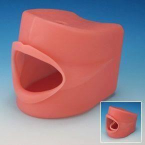 Model de studiu cavitate orala Oral Cavity Cover Large Nissin