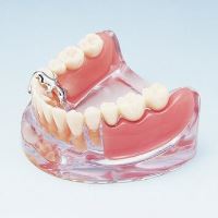 Model de studiu PE-IMP002 Nissin
