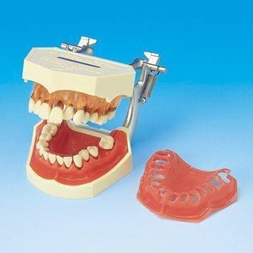 Model de studiu PE-PER001 Nissin